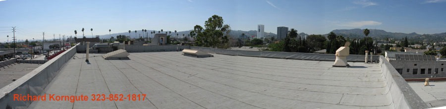 roof2.2660-63.jpg